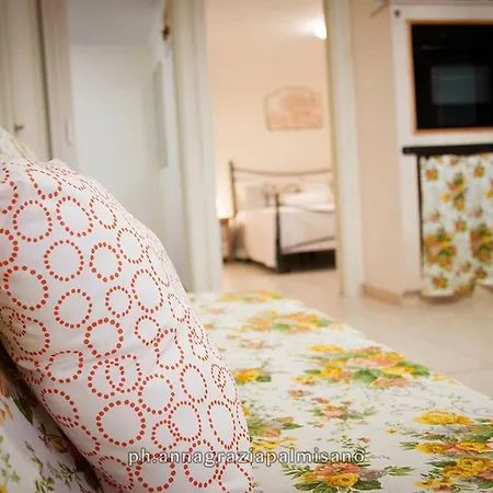 House Sabbia توري كان